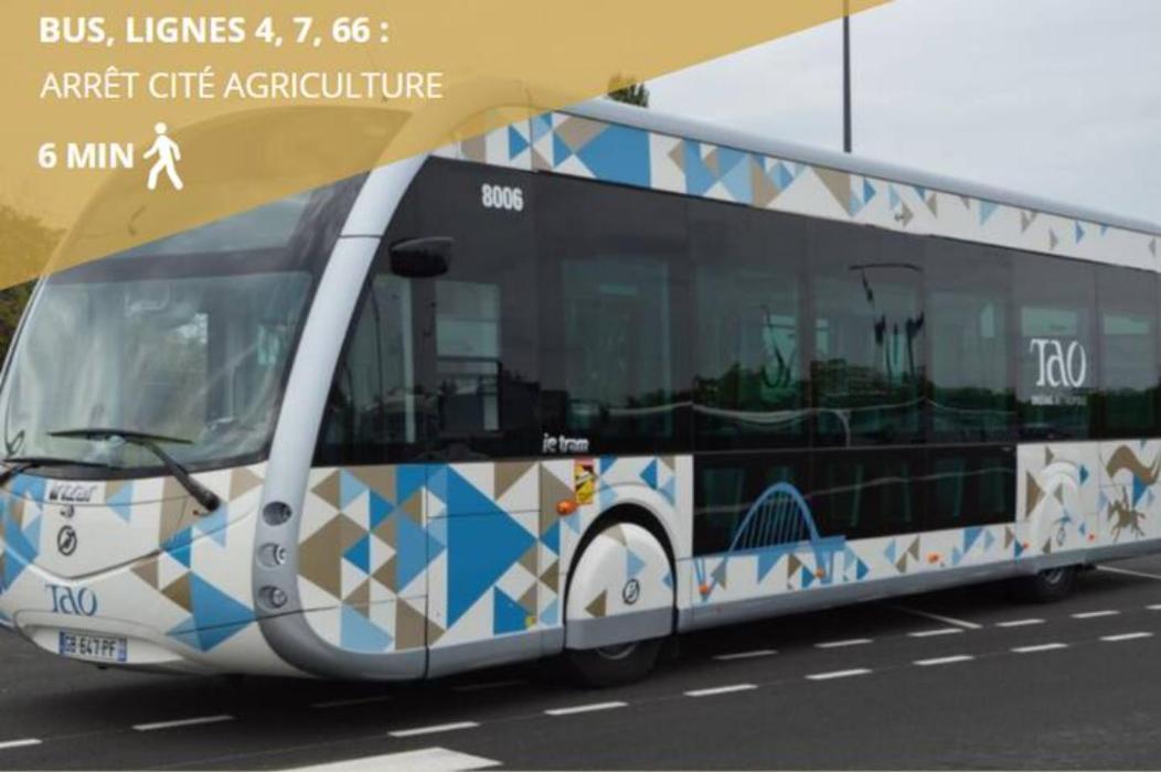 Le Saint Hilaire *T2* Leilighet Orléans Eksteriør bilde